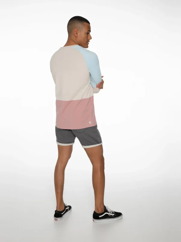 Protest Sweatshirt “ RADFORD In Mauve 10
