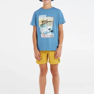 Protest T-shirt “ PRTARMANO JR In River Blue 13