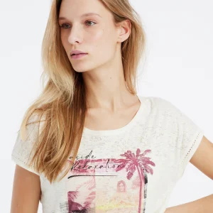 Protest T-shirt “ PRTELLES 23 In Chilirust 19