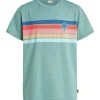 Protest T-shirt “ PRTOLE JR In Arcticgreen 23