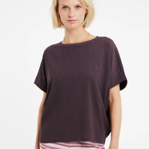 Protest T-shirt “ PRTULA In Raisinbrown 11