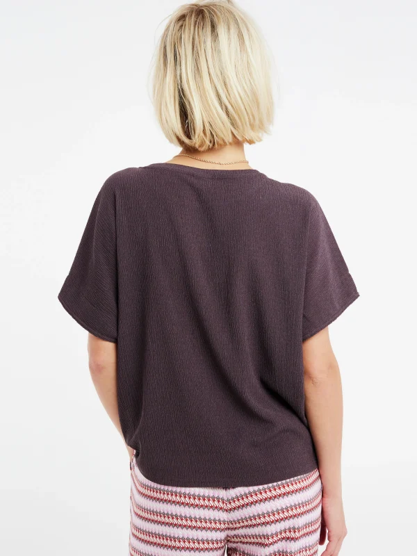Protest T-shirt “ PRTULA In Raisinbrown 5