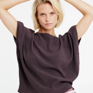 Protest T-shirt “ PRTULA In Raisinbrown 19