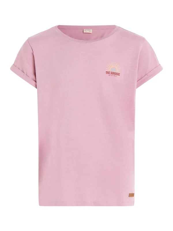 Protest T-shirt “ PRTZIZO JR In Duskyrose 1